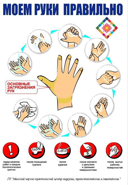 Изображения по запросу Как мыть руки